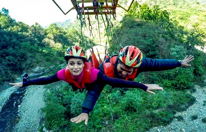 Flying Fox Activity